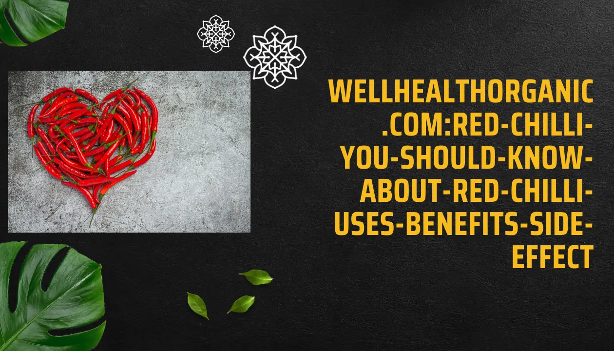 wellhealthorganic.com:red-chilli-you-should-know-about-red-chilli-uses-benefits-side-effect