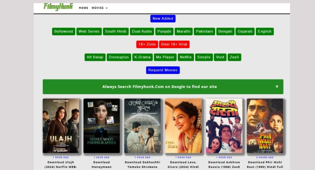 Process To Download Movies On FilmyHunk cc